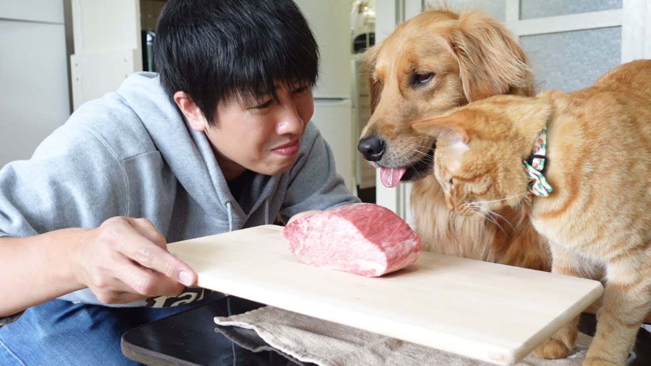 財布を見つけてくれたお礼に愛犬に飛騨牛ステーキご馳走しましたｗ