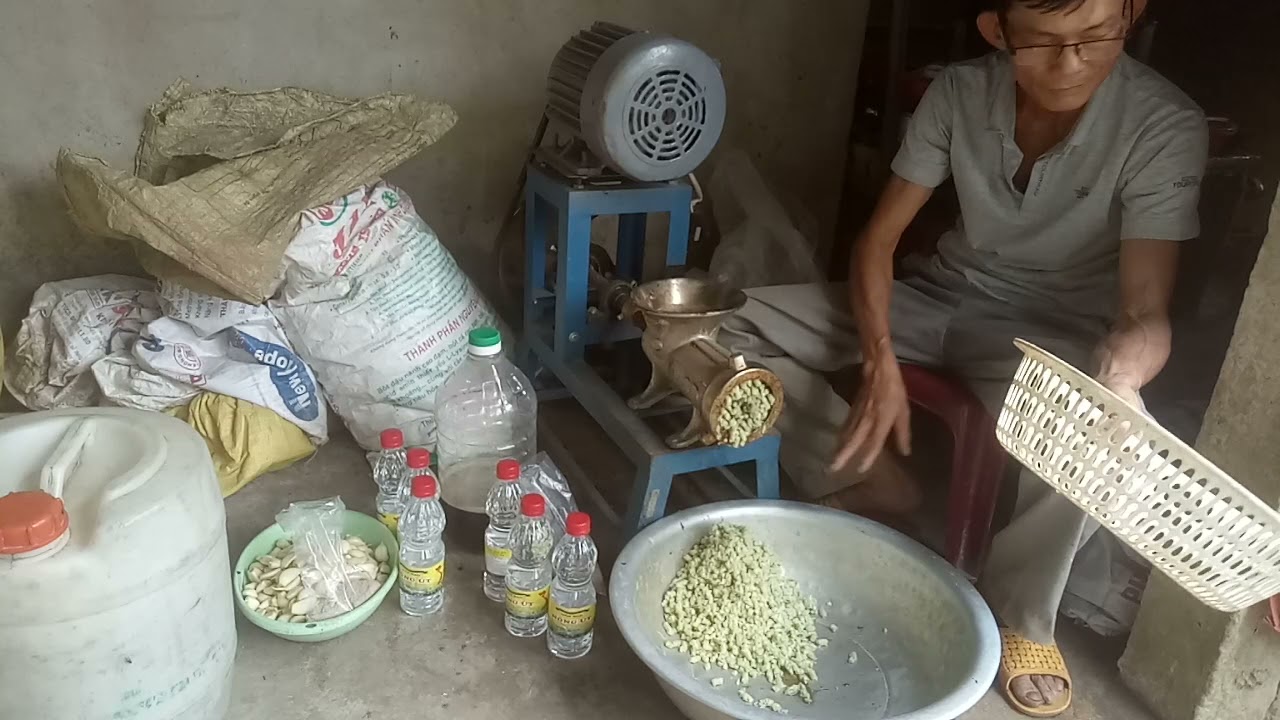 Hướng dẫn quy trình làm men tỏi,tăng đề khác sinh học cho vật nuôi với chi phí thấp.
