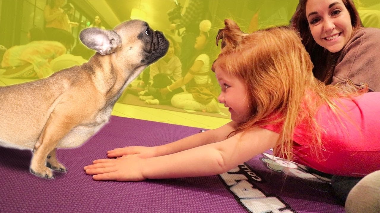 PUPPY  YOGA with the FAMiLY!!  morning exercise routine on last day of ultimate vacation! (now home)