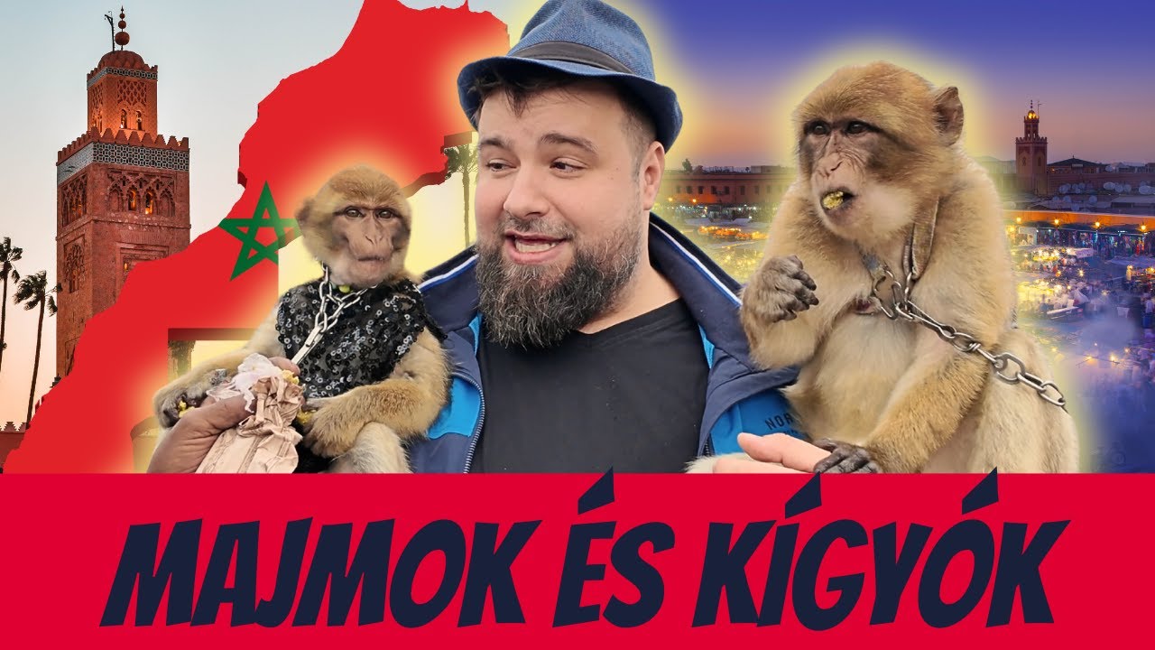 🇲🇦 BALHÉZÓ MAJMOK ÉS MARRAKESH LEGJOBB ÉTELEI! - MAROKKÓI GASZTRÓTÚRA - 2. rész.