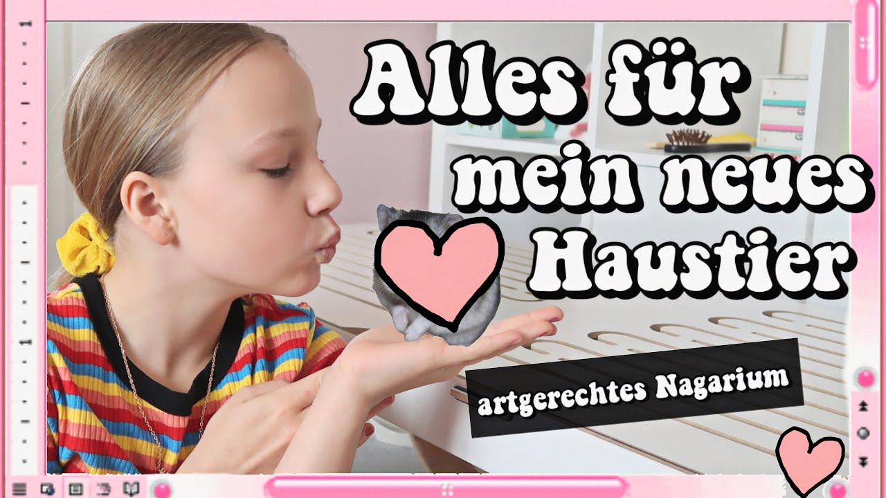 ICH ZEIGE EUCH ALLES FÜR MEIN *NEUES HAUSTIER* HAMSTERKÄFIG EINRICHTEN 🌻 HEY ISI