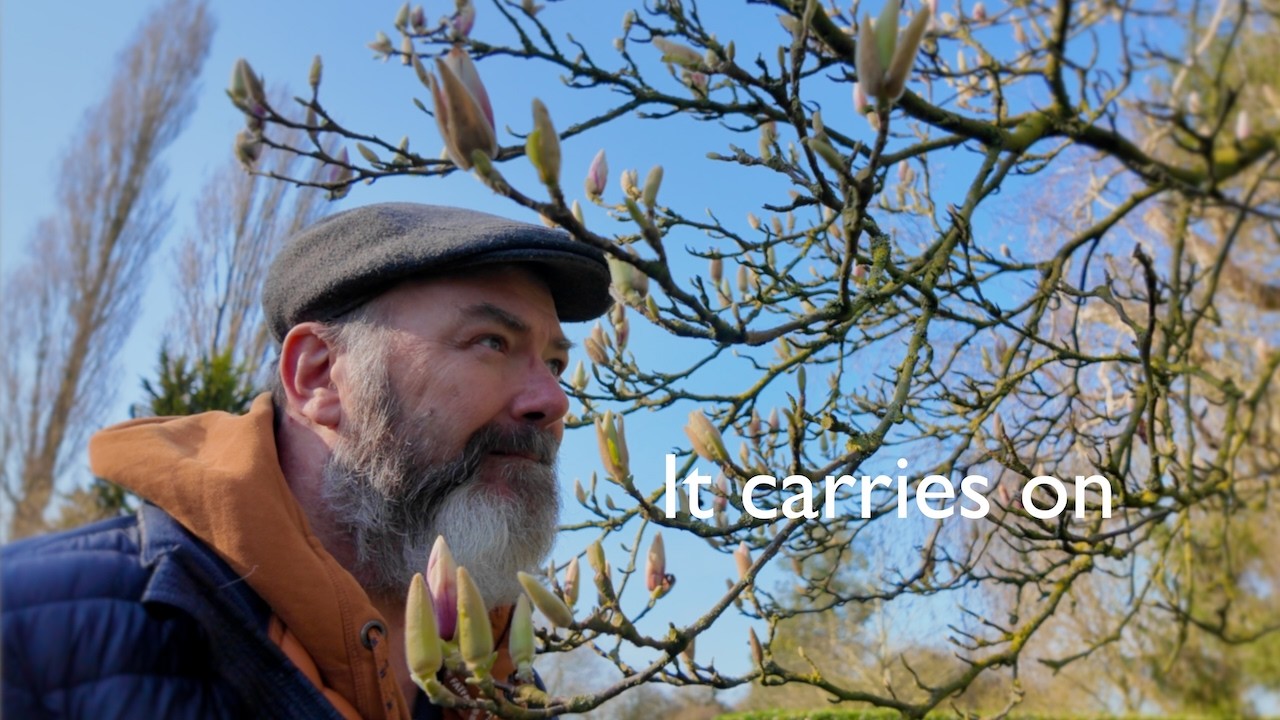 What Continues | Seasons of Change, Care & Quiet Resilience