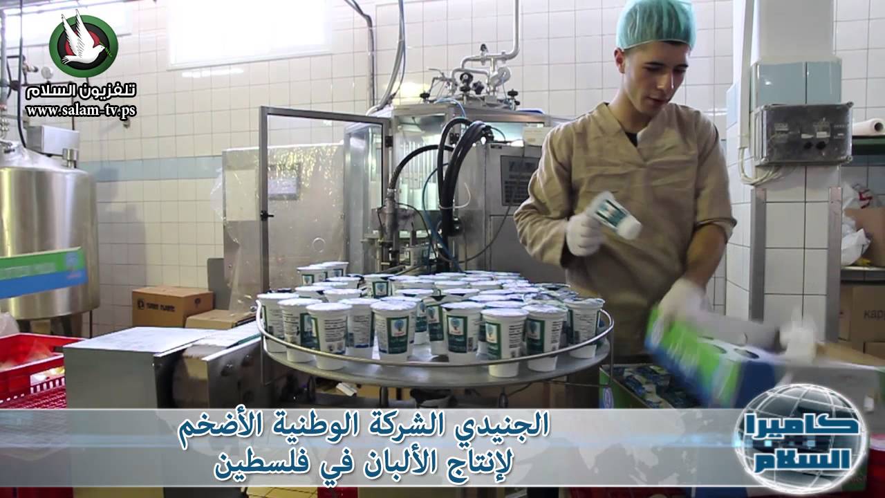الجنيدي الشركة الوطنية الأضخم لإنتاج الألبان في فلسطين