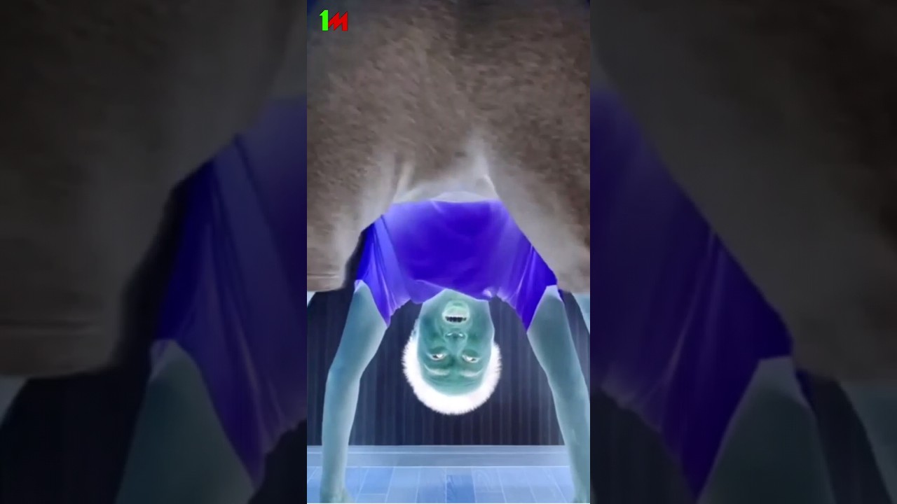 Try not to Laugh I'll pay ( GummyBear Effect vs Sagawa Effect)