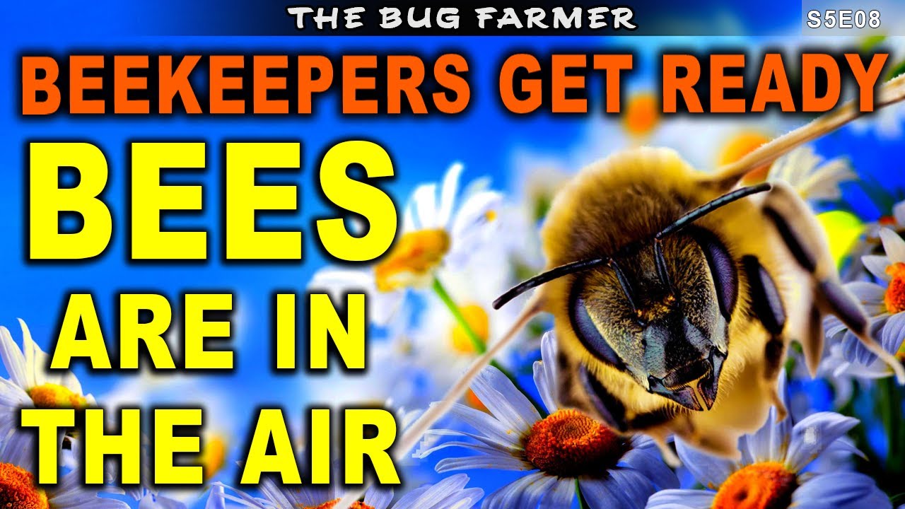 Preparing the hives for splits. | spring beekeeping. #bees #beekeeping #beekeeping101