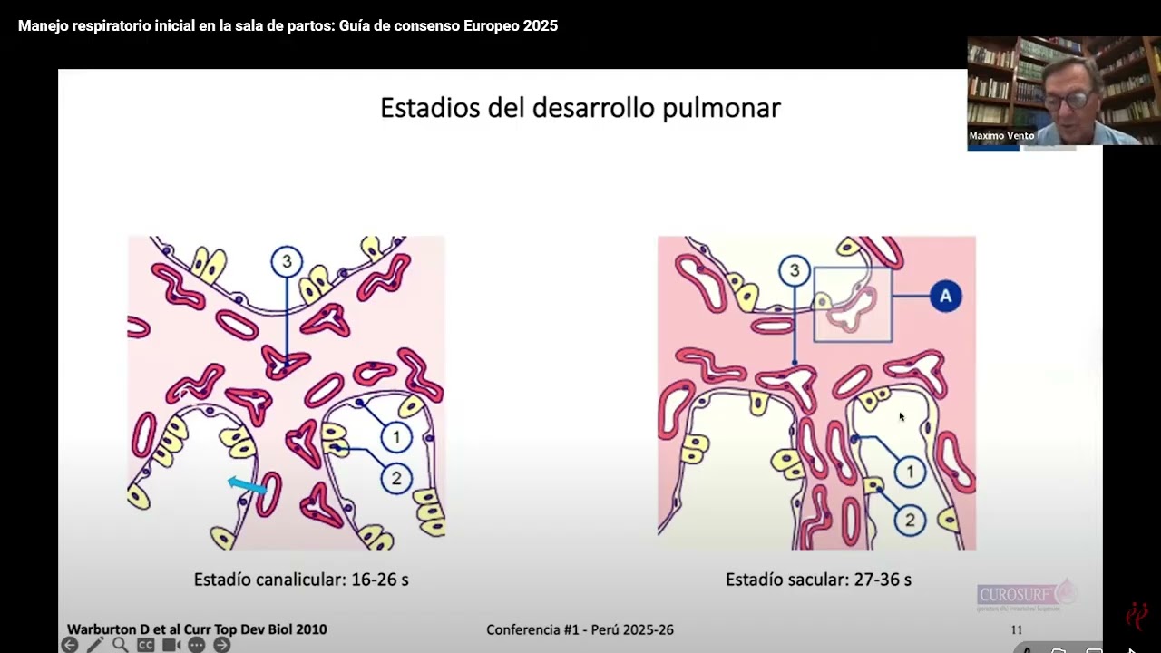 Manejo respiratorio inicial en la sala de partos: Guía de consenso Europeo 2025