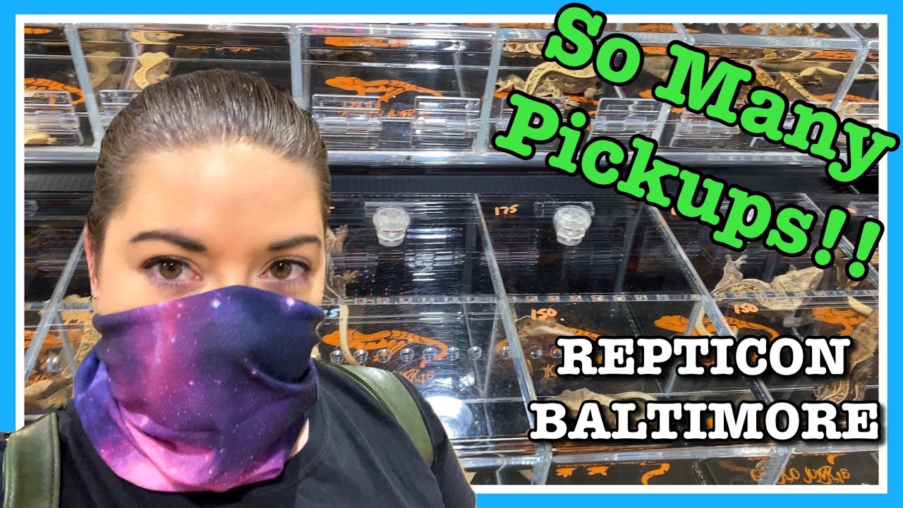 REPTICON BALTIMORE (Sept 2020) Lots of New Pickups!!!! | Reptile Expo | Reptile Show