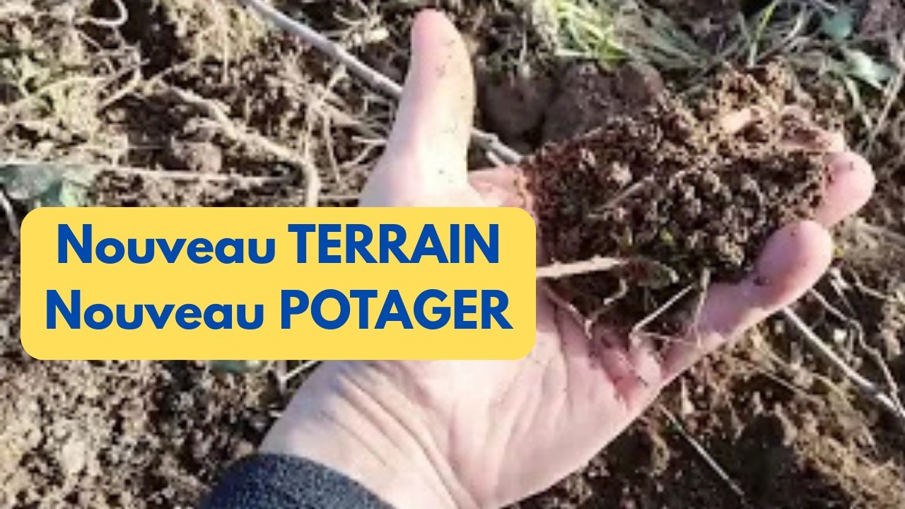 Nouveau TERRAIN, nouveau POTAGER