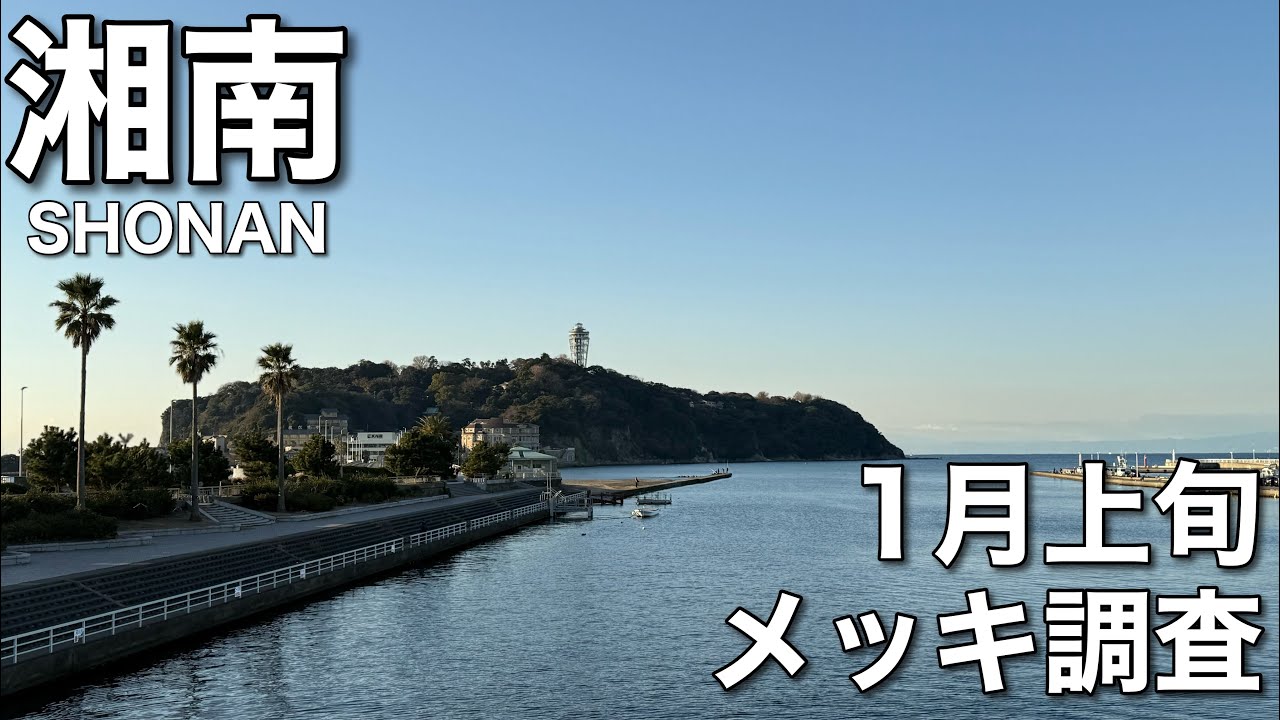 湘南メッキ調査【１月上旬メッキはいるのか？】