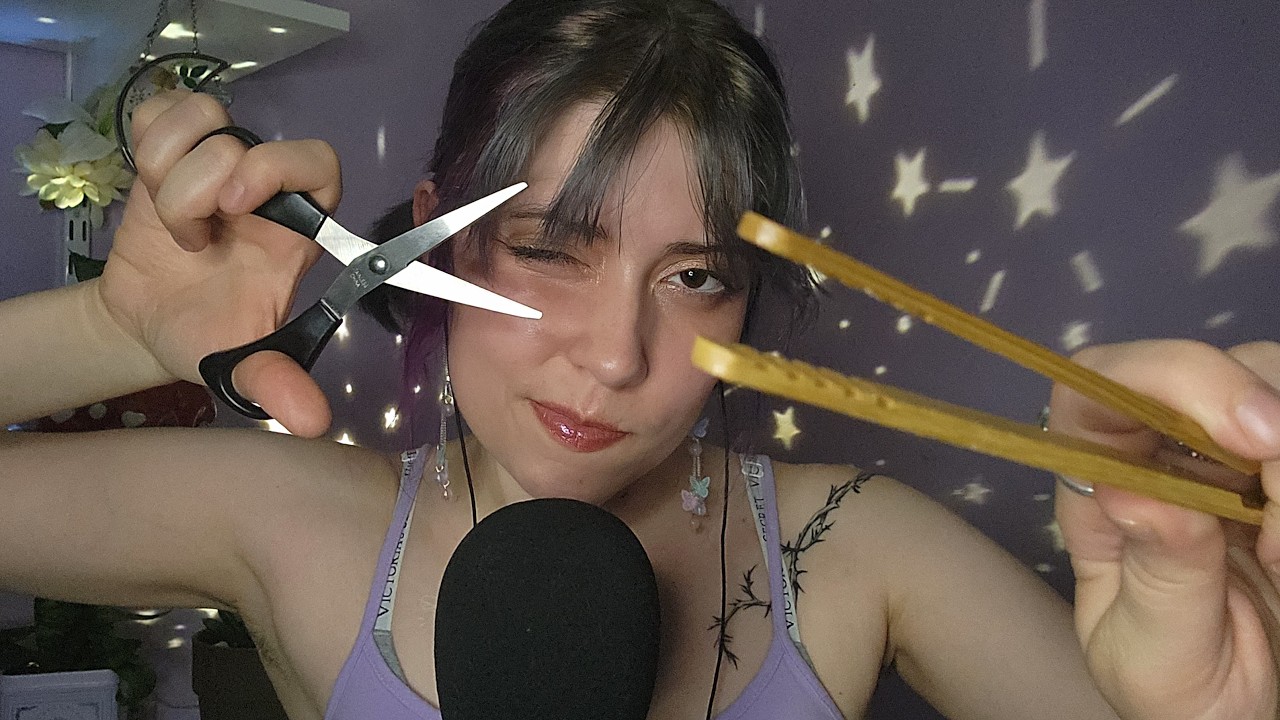 ASMR to Make You Honk Shoo