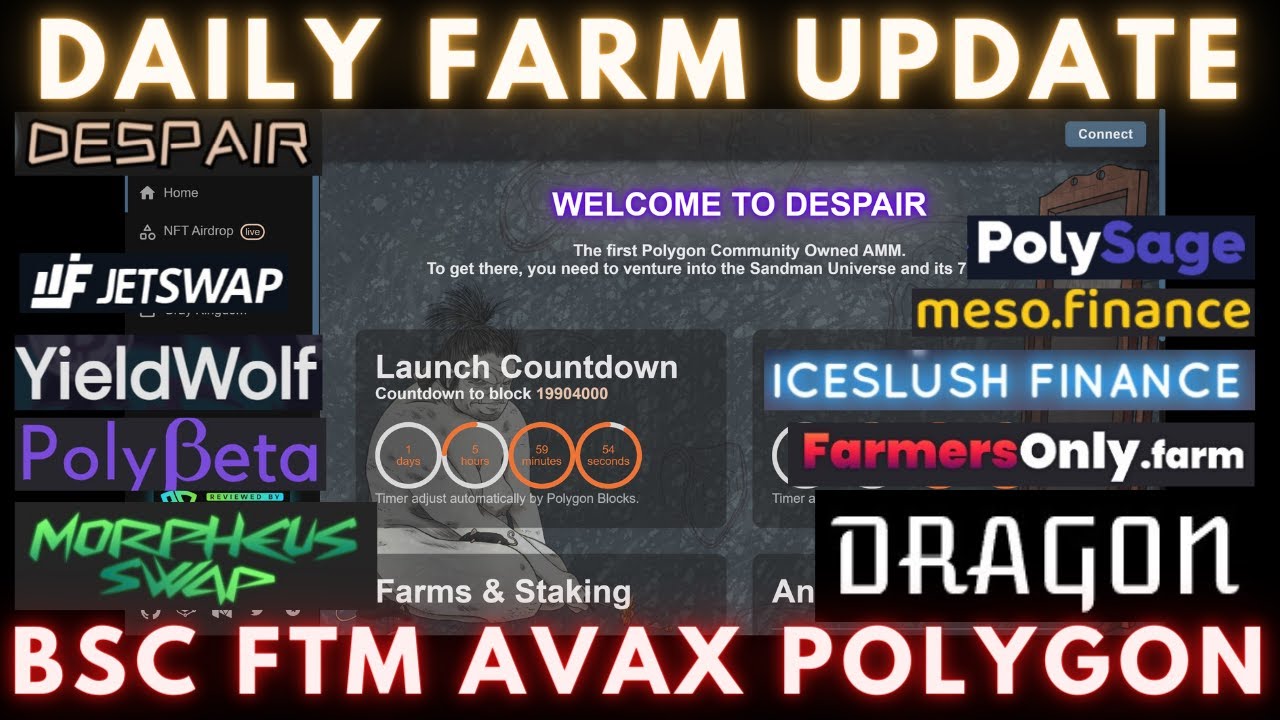 Daily Degen Farm Update | BSC - FTM - AVAX - POLY | Quick Recap