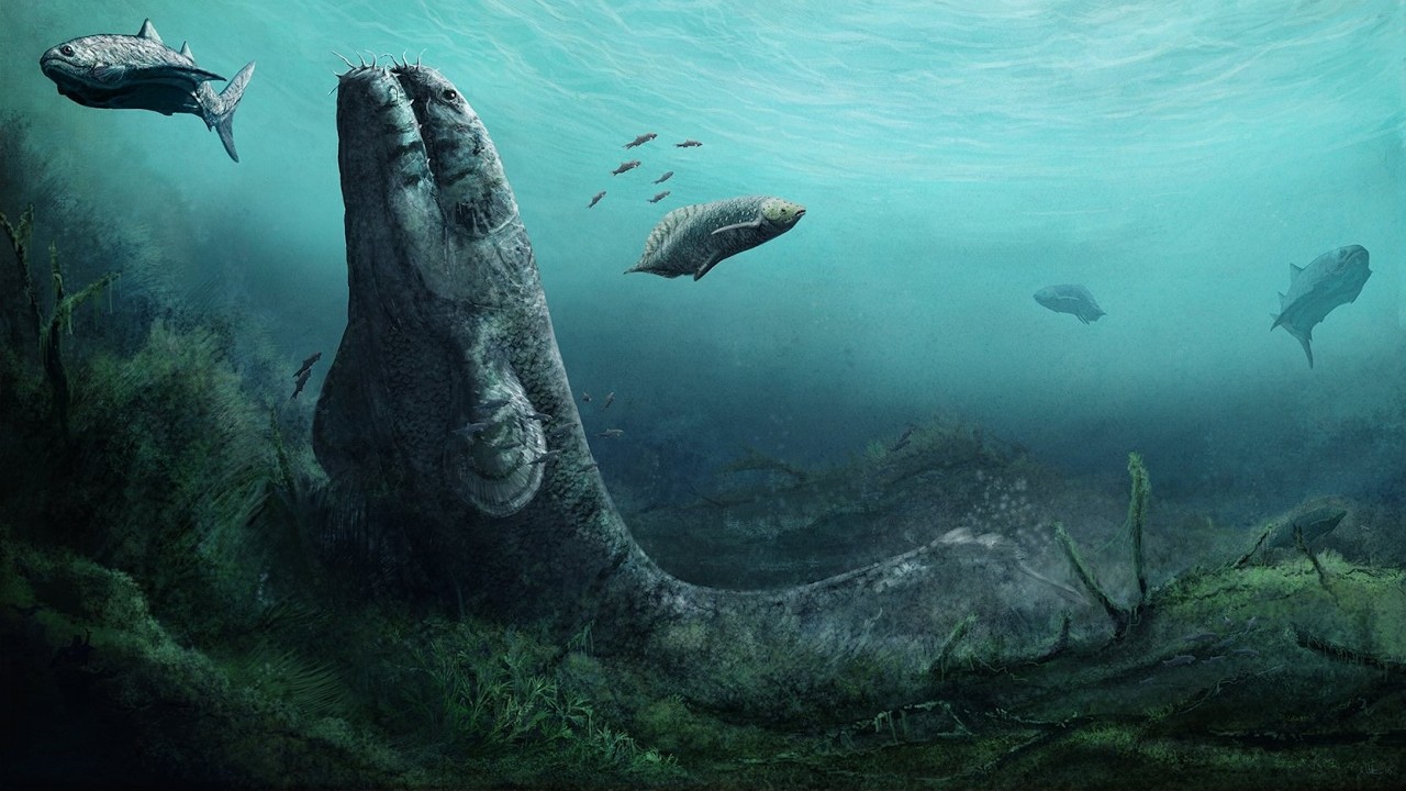 ¿Qué habitaba los Mares Primigenios?