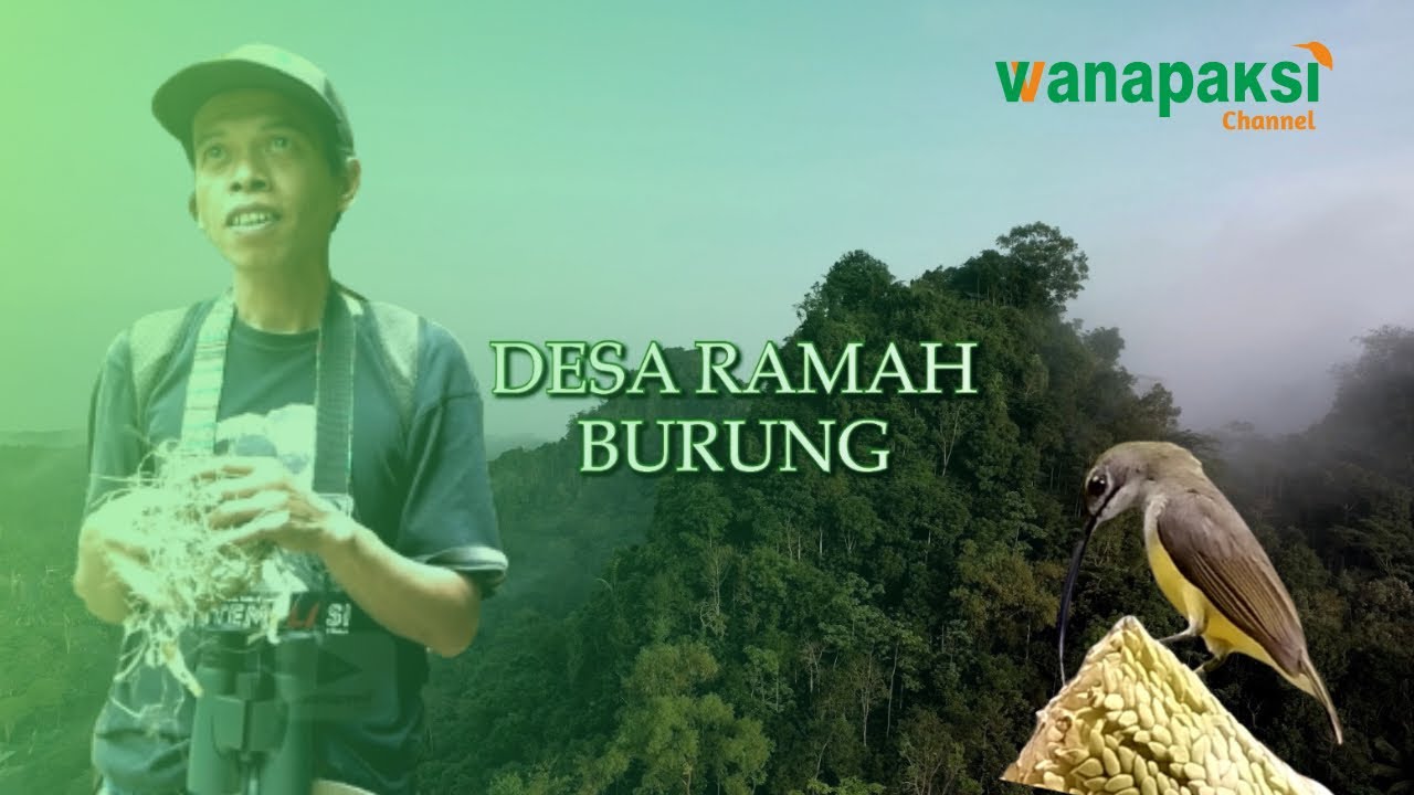 GROPYOK SARANG BURUNG - DESA RAMAH BURUNG JATIMULYO