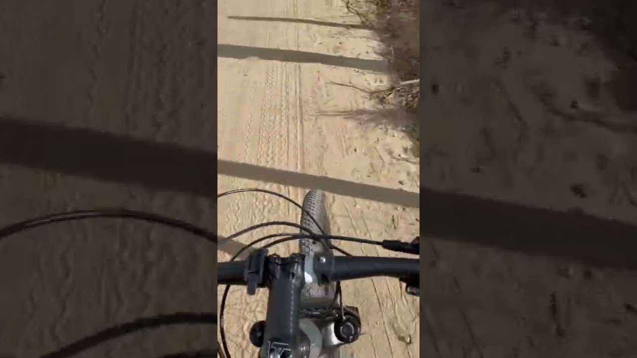 Review pedal zeray -MTB ADX 400