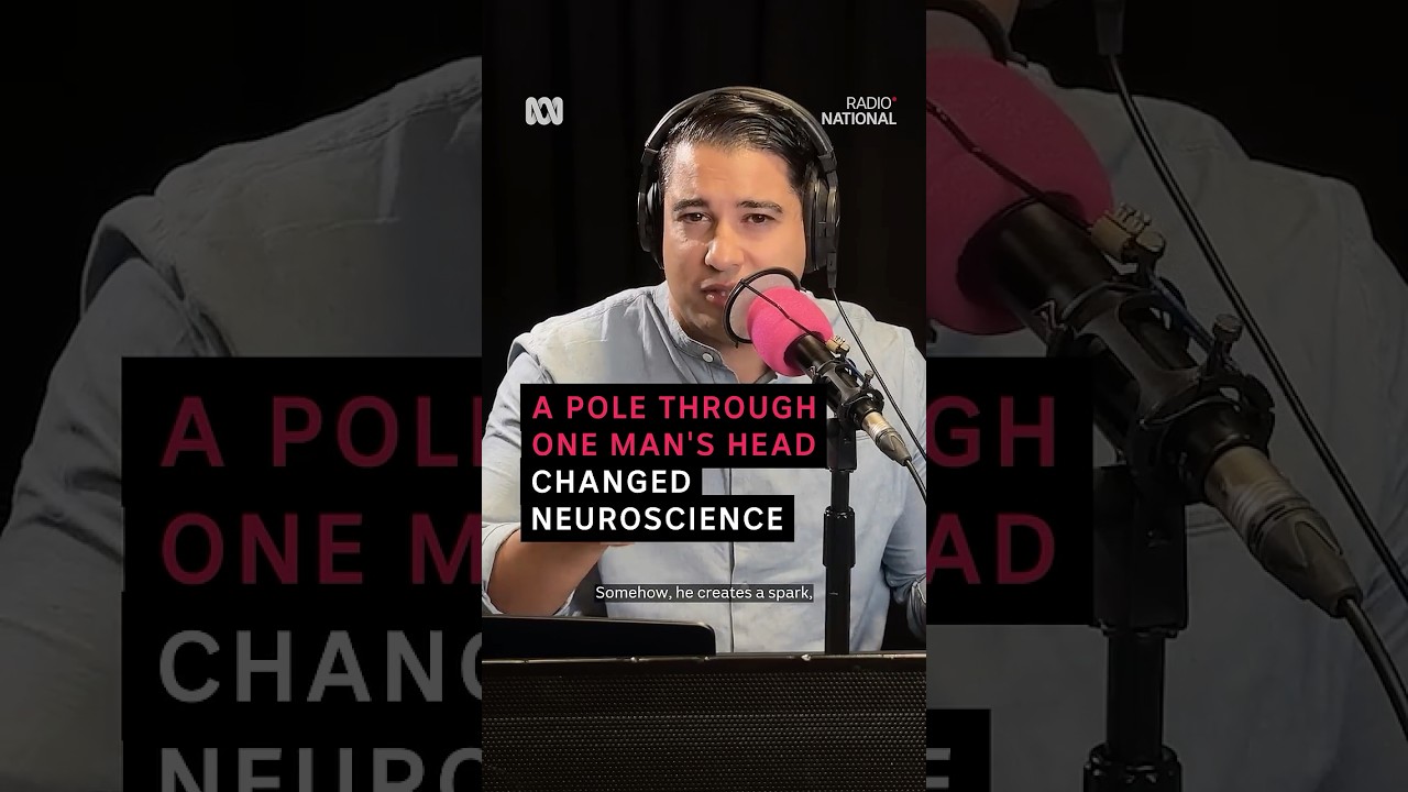 🧠 The head injury that changed neuroscience | ABC Radio National