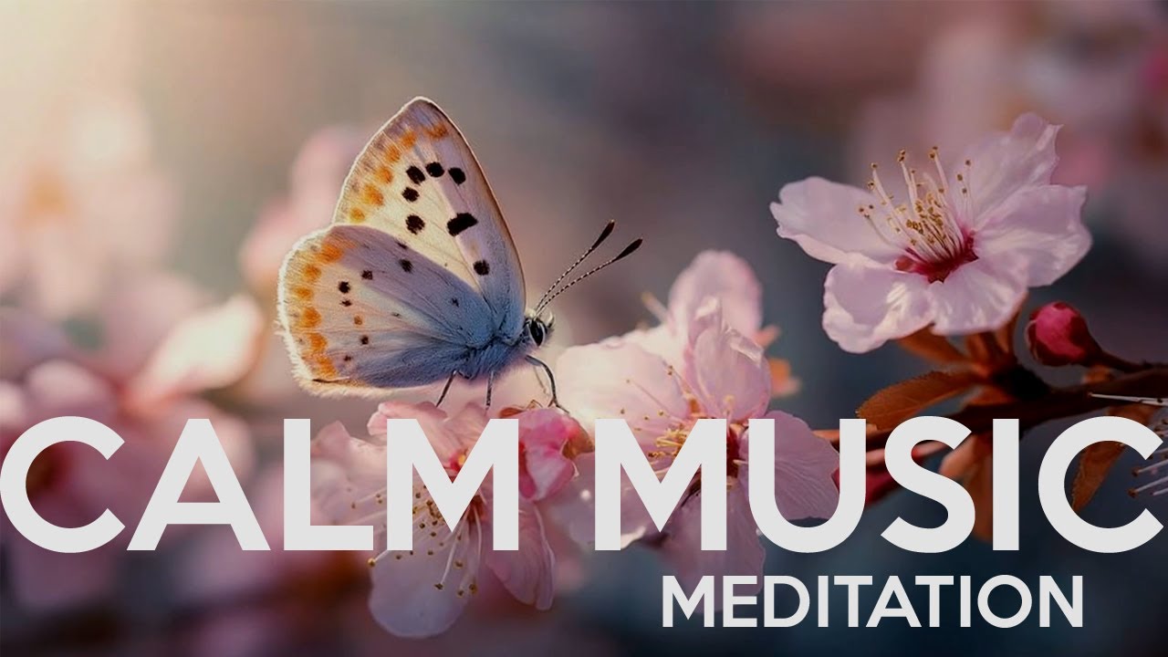 Meditation Music | 10Hz Alpha Waves for Meditation, Mindfulness & Quiet Relaxation