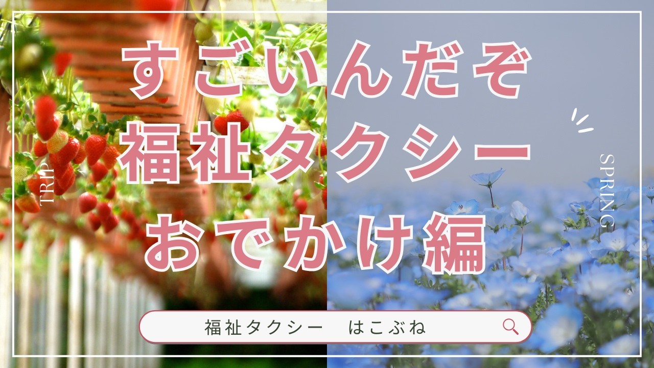 すごいんだぞ！「福祉・介護タクシー」ならこんなんもあんなんもできます！おでかけ編　普通のタクシーには出来ない事ができちゃうから安心して一人でも九人でも旅行やキャンプ出来ますよ！