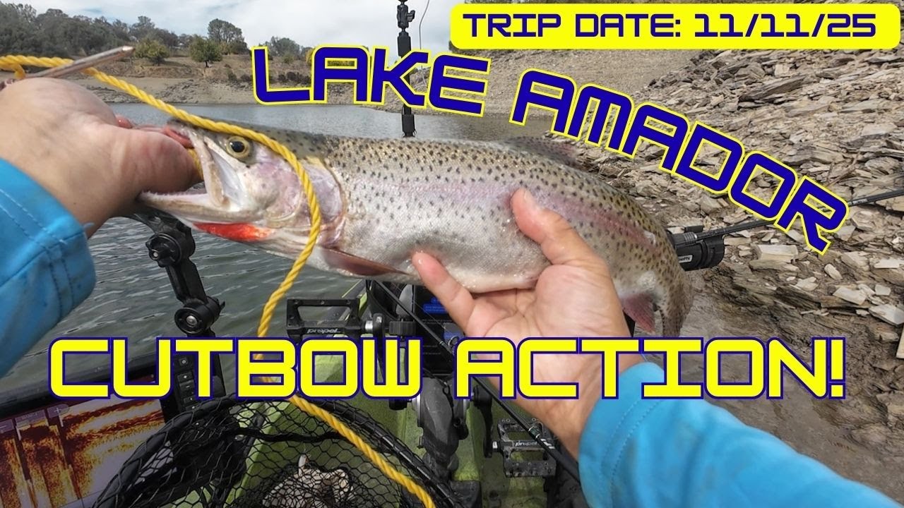 Cutbow Action at Lake Amador!! (11/11/25)