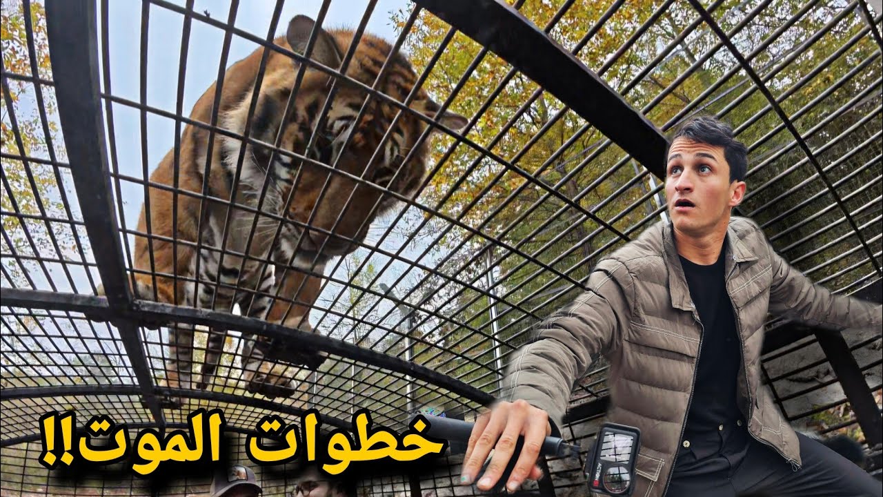 لحظات مرعبة مع أقوى مفترس بالعالم !! أخطر تجربة بحياتي - Iran 🇮🇷