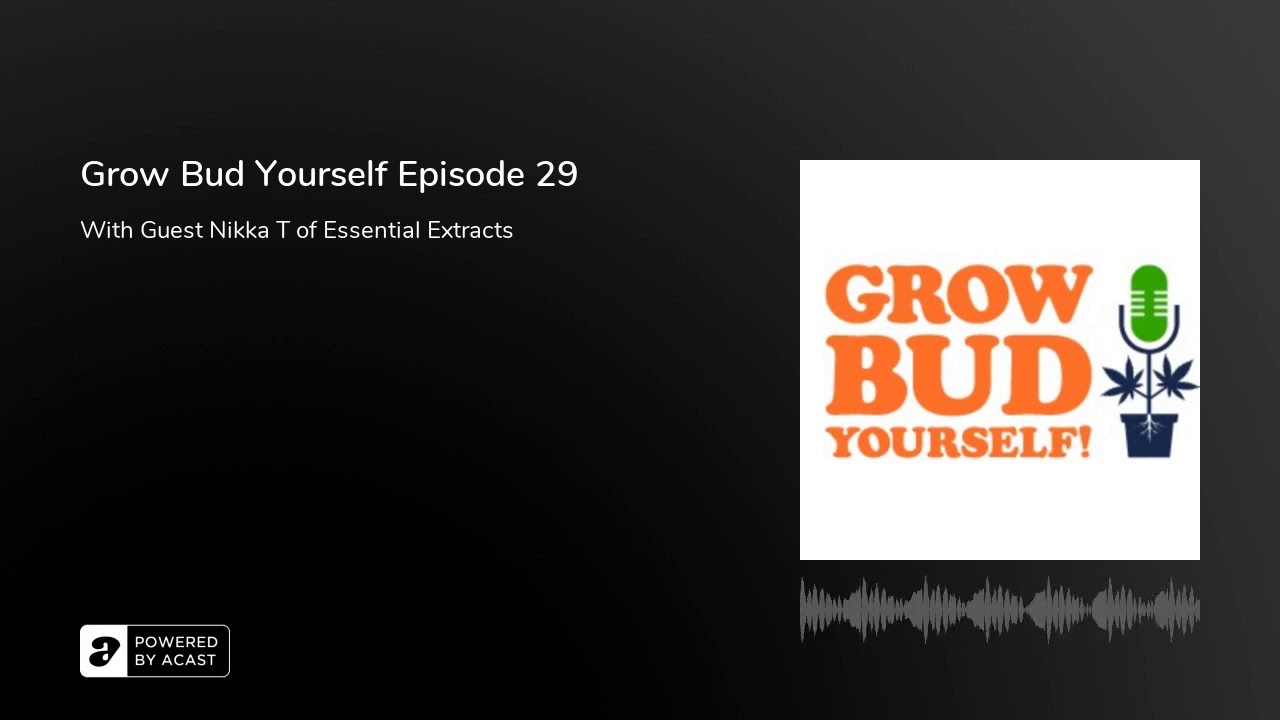 Grow Bud Yourself Episode 29 - Guest: Nikka T of Essential Extracts