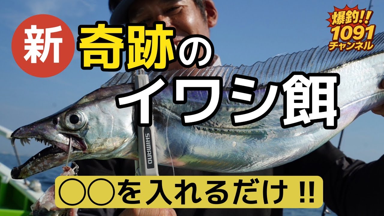 太刀魚のアタリ爆増‼️進化したイワシ餌の仕込み方‼️