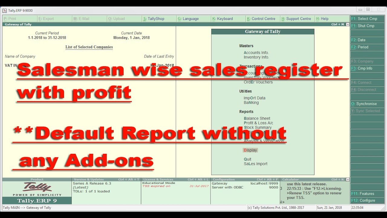 Salesman wise sales register with profit without any additional Customization
