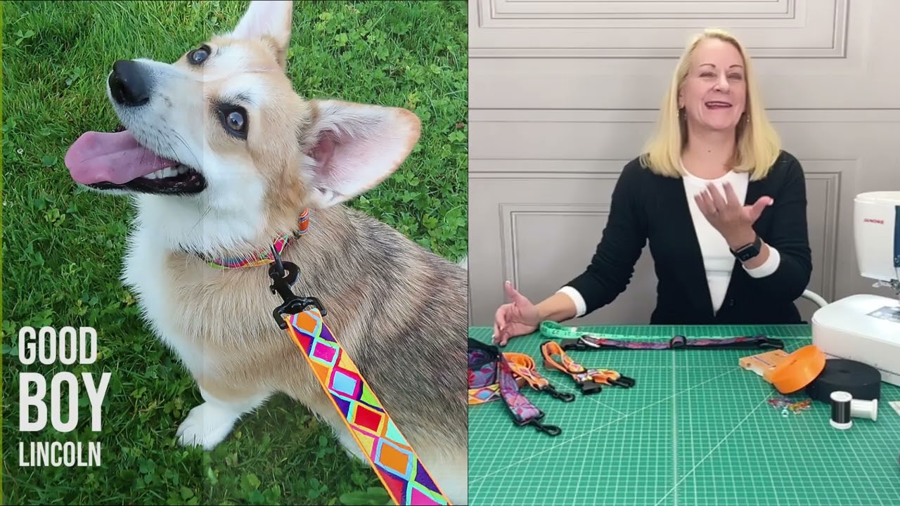 Ribbon + Webbing Dog Leash & Collar Sets