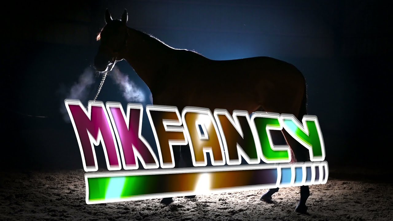 Haras de St. Arnoult: MKFANCY