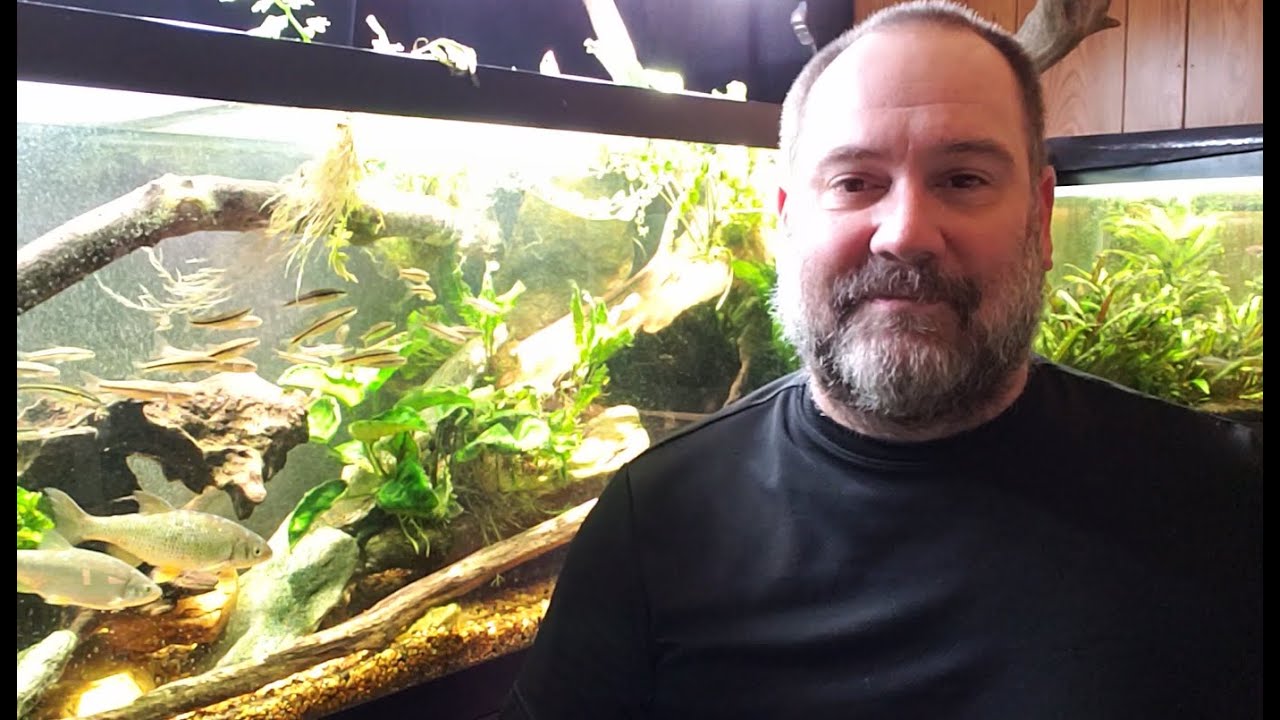 Самый стойкий миф о клевете развенчан. Понимание клевоты и способы ее лечения