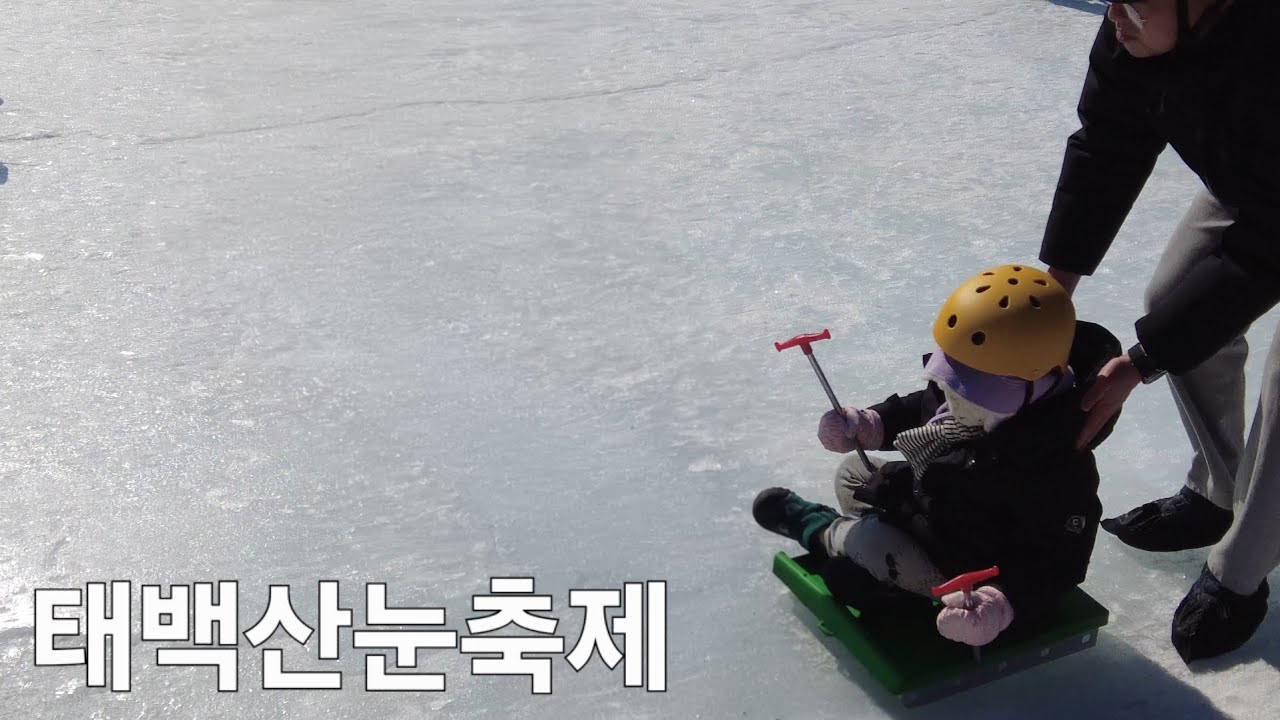 태백산눈축제 week242