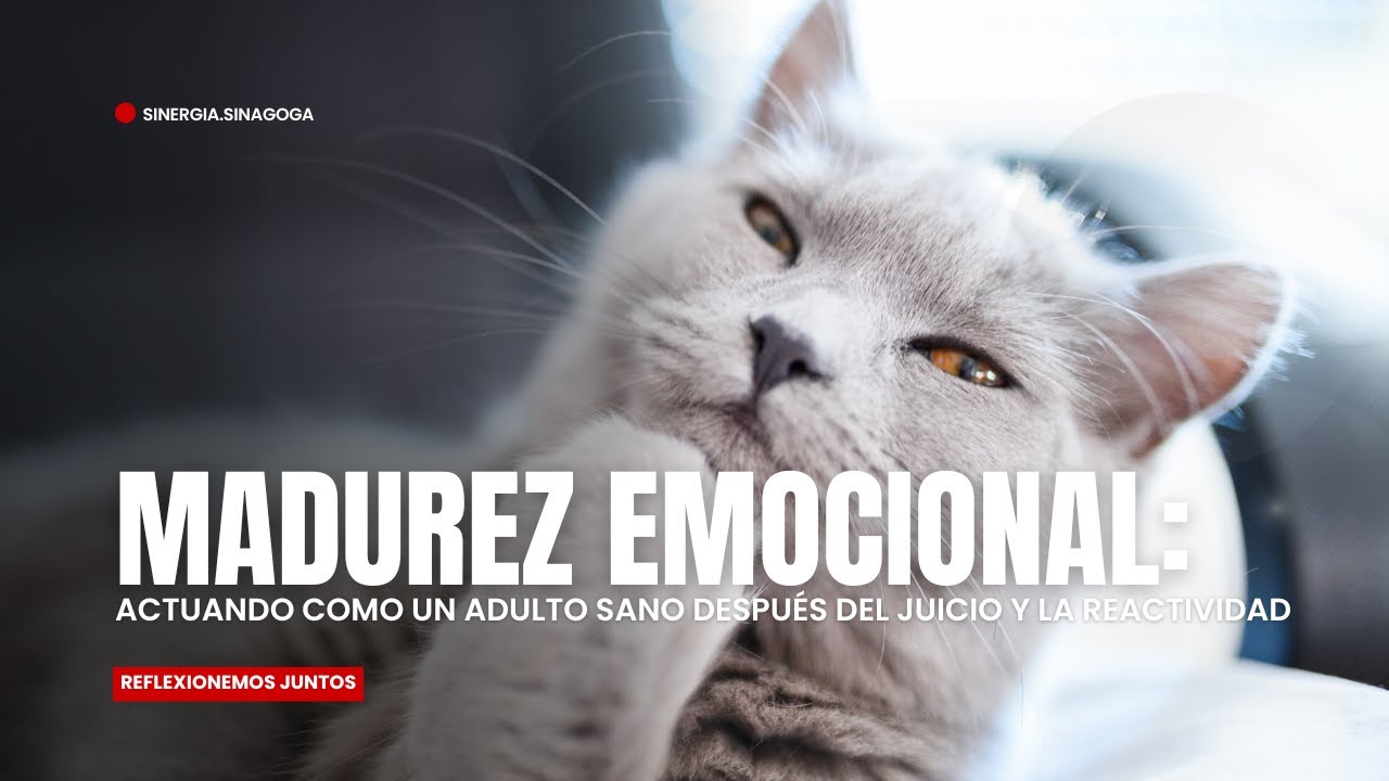 Madurez Emocional: Actuando como un Adulto Sano después del juicio y la reactividad (Sinergia)