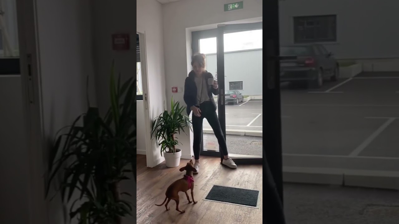 &Agrave; quelle heure arrive la team MYF ? 😂