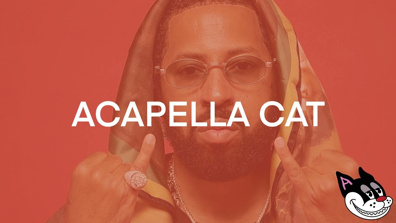 Roc Marciano - Don Shit Acapella 88 BPM - 4K Acapella Cat