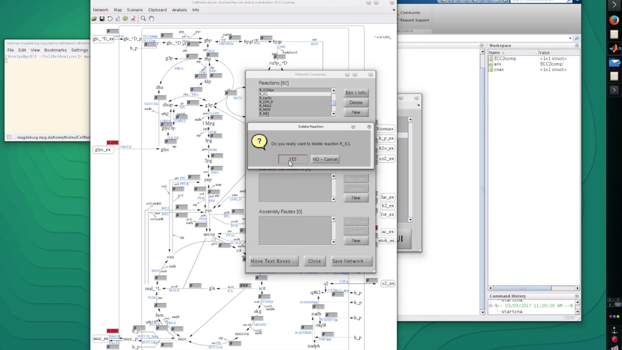 CNA Tutorial 5: network adjustments