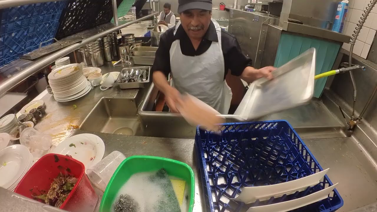 My UCLA Dishwasher Job Story: Pay, Hours, and Reality