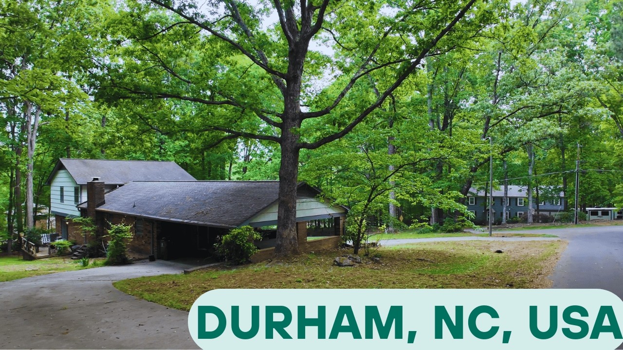 4K Walk in Secluded Forest Neighborhood | Relaxing Sounds for Sleep and Study #neighborhood