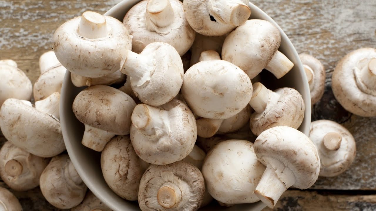 Here's How To Tell If Your Mushrooms Have Gone Bad