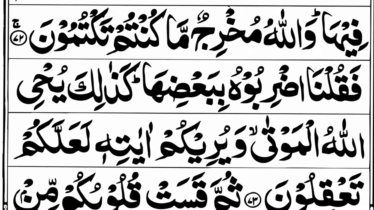 Surah Al Baqarah | Al Baqarah | Surah Al-Baqarah | سورۃ البقر
