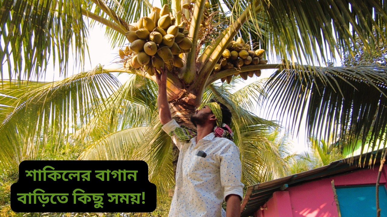 শাকিলের বাগান বাড়িতে কিছু সময়! | Village Vlog | Agro Video
