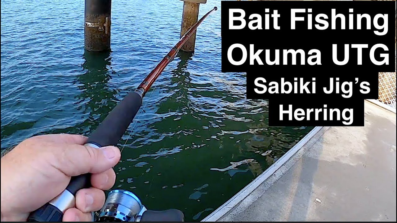 Okuma UTG Sabiki Rod and jig bait fishing for herring SV EP8 Wayne Groomes