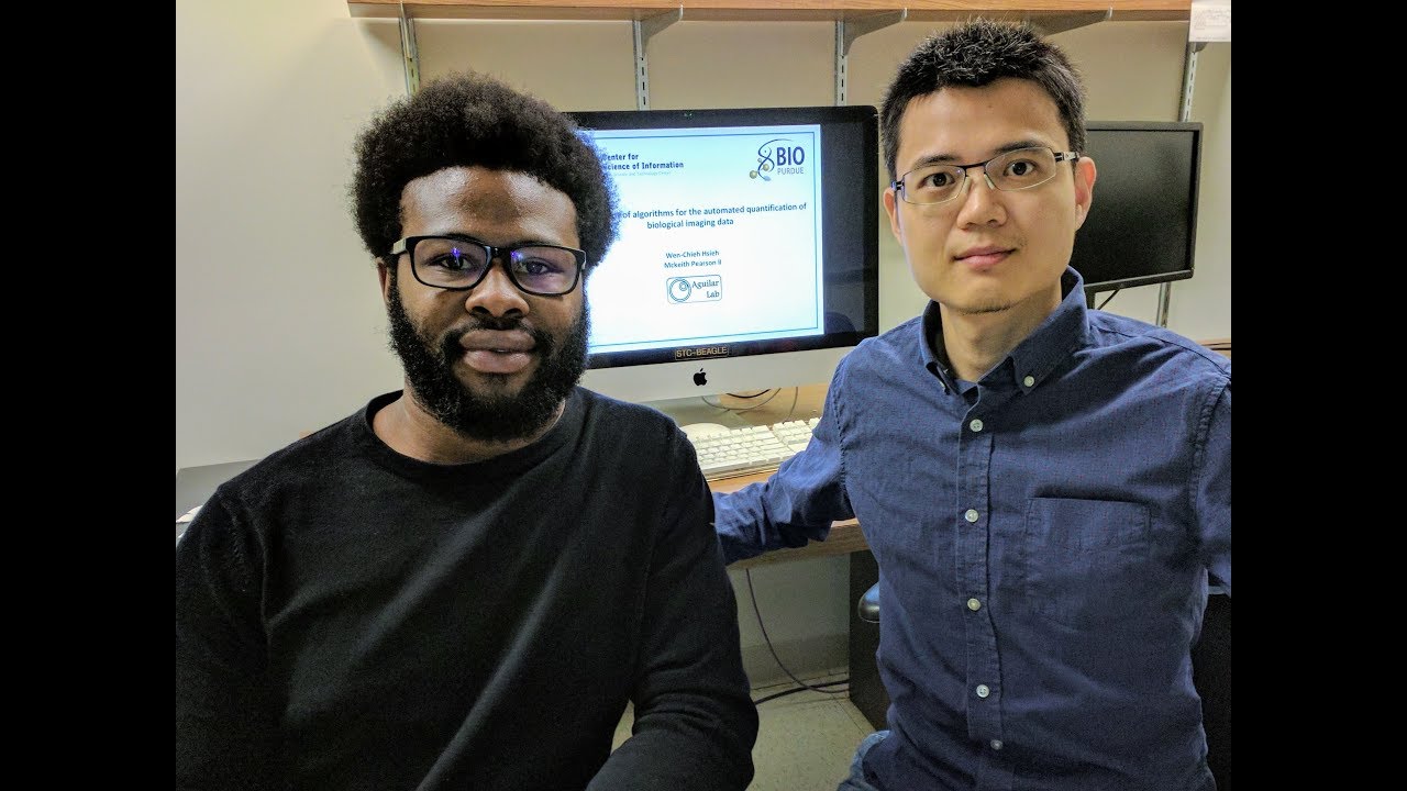 Development of algorithms for the automated quantification of biological imaging data