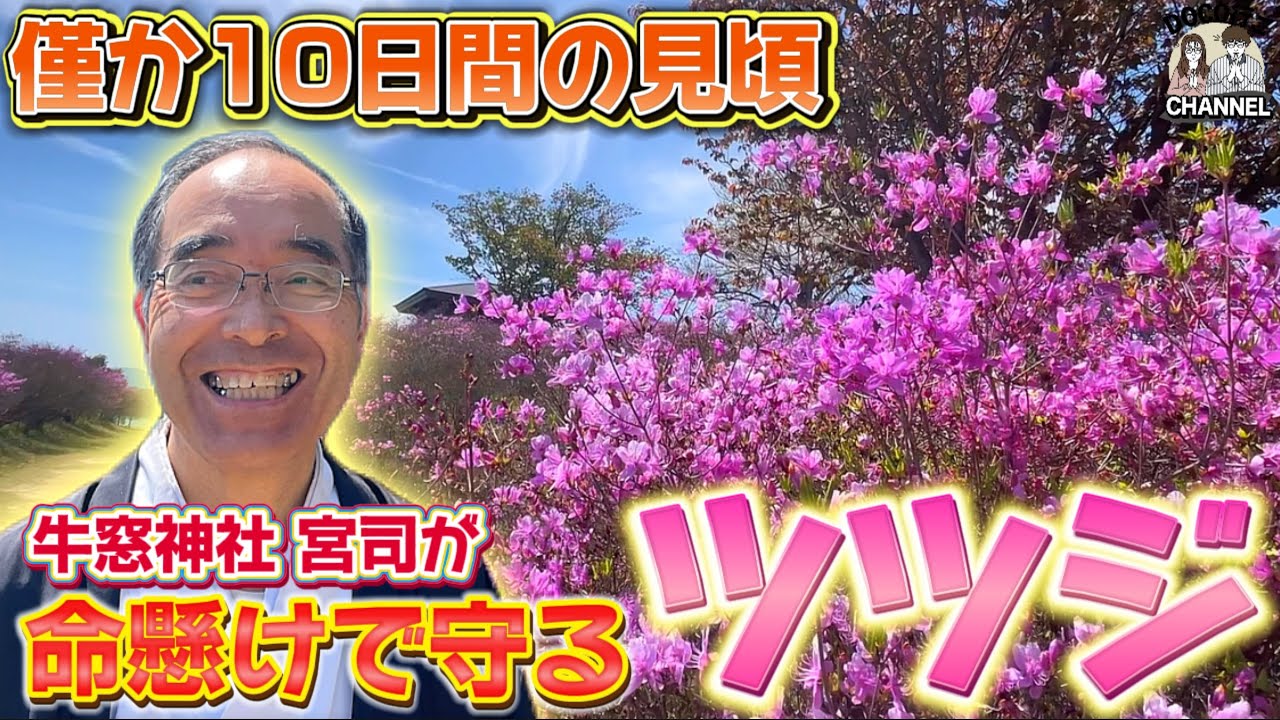 宮司が命懸けで守り続ける「牛窓神社」【岡山県】