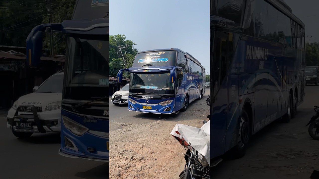 Ganteng banget unit Tronton Po Pandawa 87 | #busmania #pandawa87 #pandawa87akap #shorts