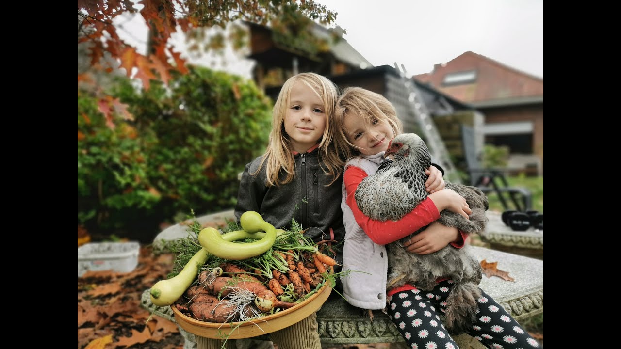 Meterlijke moestuin 2024