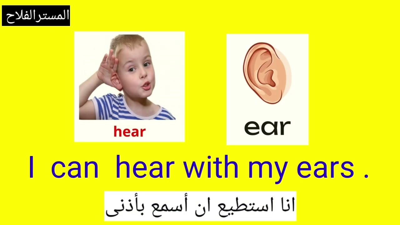 الصف الرابع الابتدائي■منهج 2026■ترم اول■الوحده الاولى■الدرس الأول (أغنية الجُمل)■براجراف 1