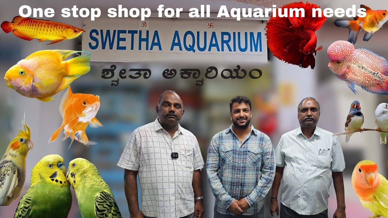 Swetha Aquarium Shop Tour | Yash1th Vlogs | Aquarium in RPC layout | Banglore Aquarium shop