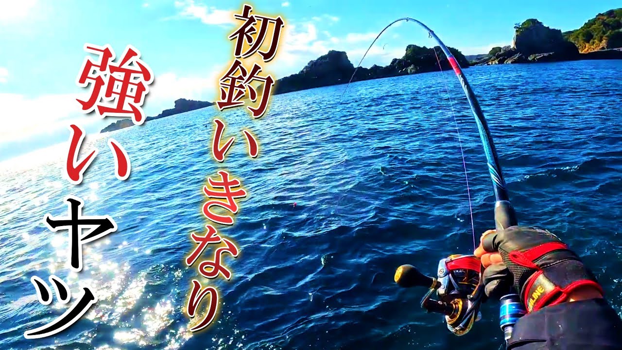 【磯グレ釣り】まさかの連発❗初釣りで価値ある一本❗アテンダー３に鱗付けを❗