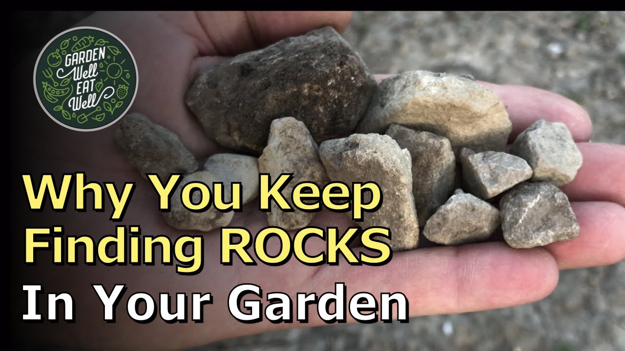 Here's WHY You Keep Finding So Many STONES And ROCKS In Your Garden EVERY Spring!