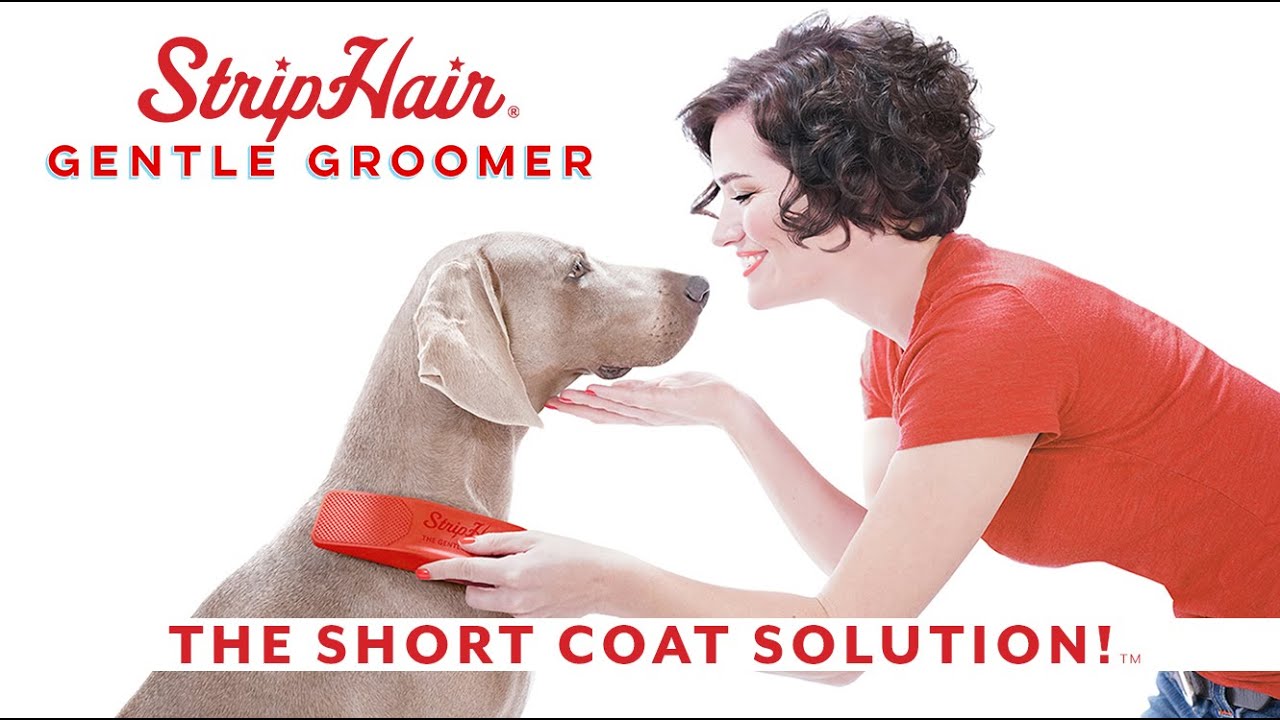 StripHair Gentle Groomer for DOGS!