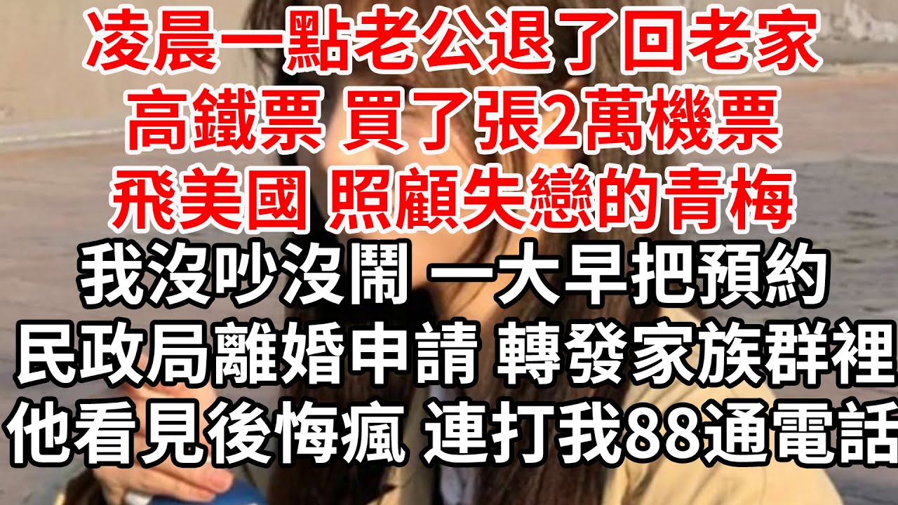 凌晨一點老公退了回老家的高鐵票，買了2萬機票飛美國照顧失戀的青梅。我沒吵沒鬧 一大早把預約民政局離婚申請 轉發家族群裡，他看見後悔瘋 連打我88通電話